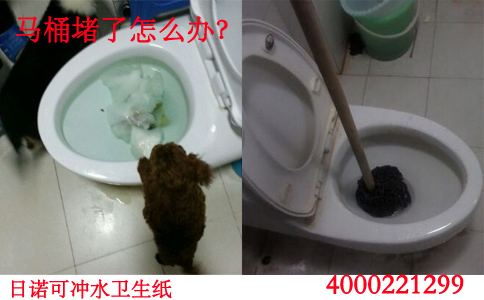 第十六条 养犬登记有效期根据犬只狂犬病免疫有效期确定