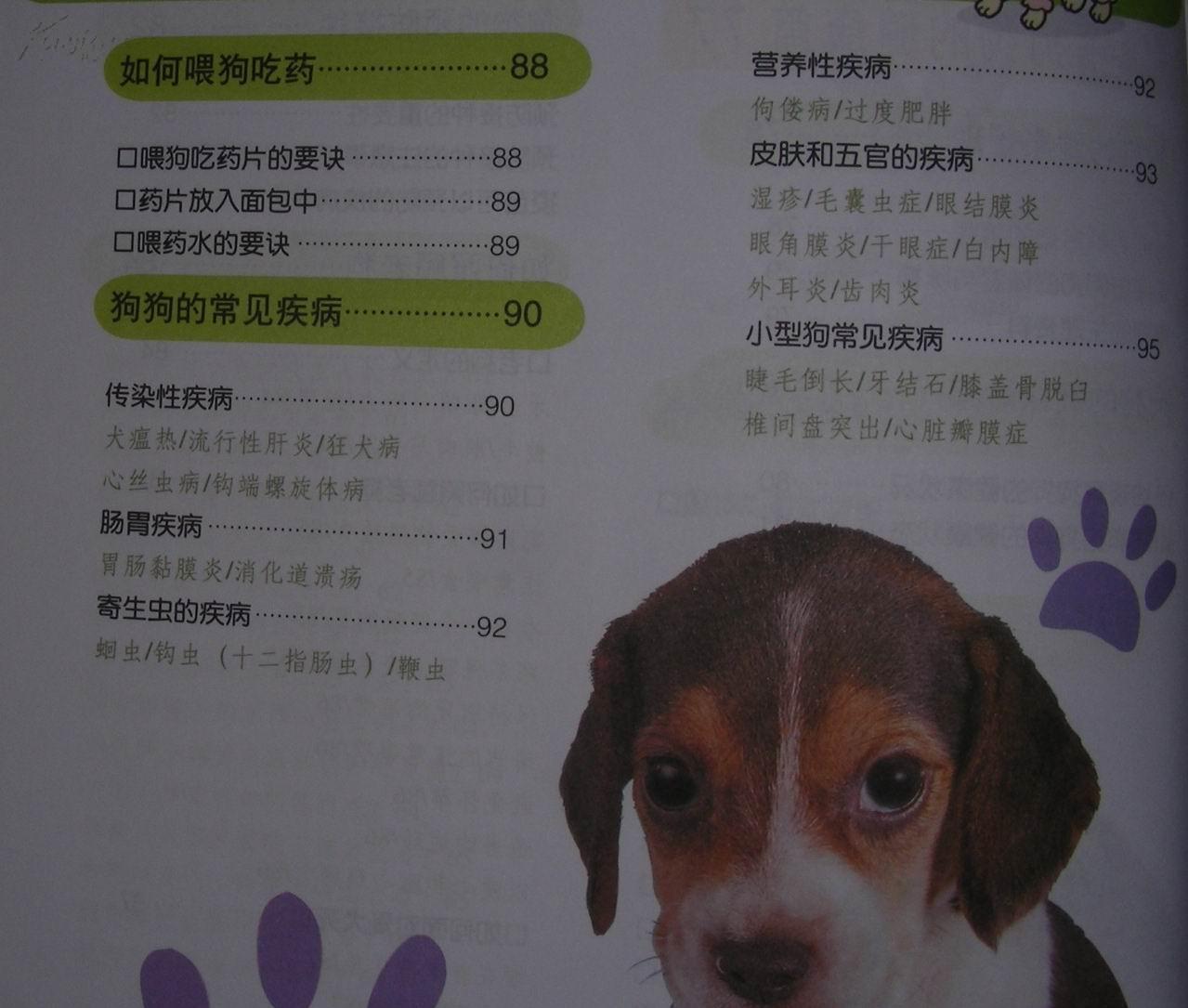 然而却反映了社会对宠物的看法以及相关管理机构的责任